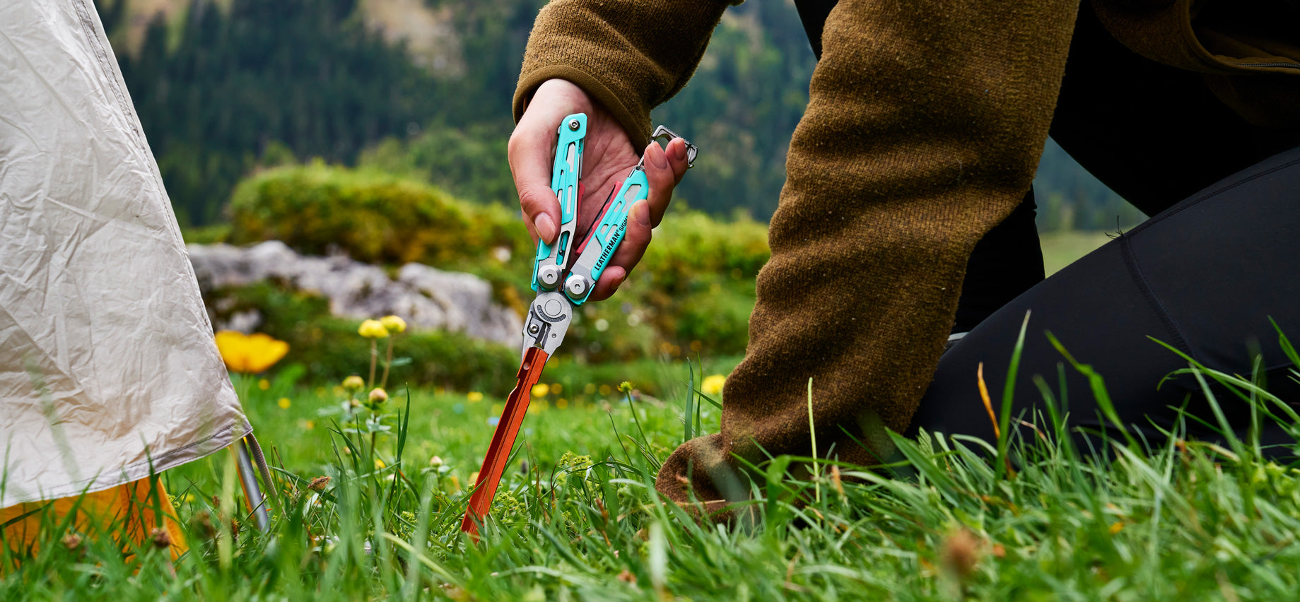 ¡Nuevos colores ya disponibles!