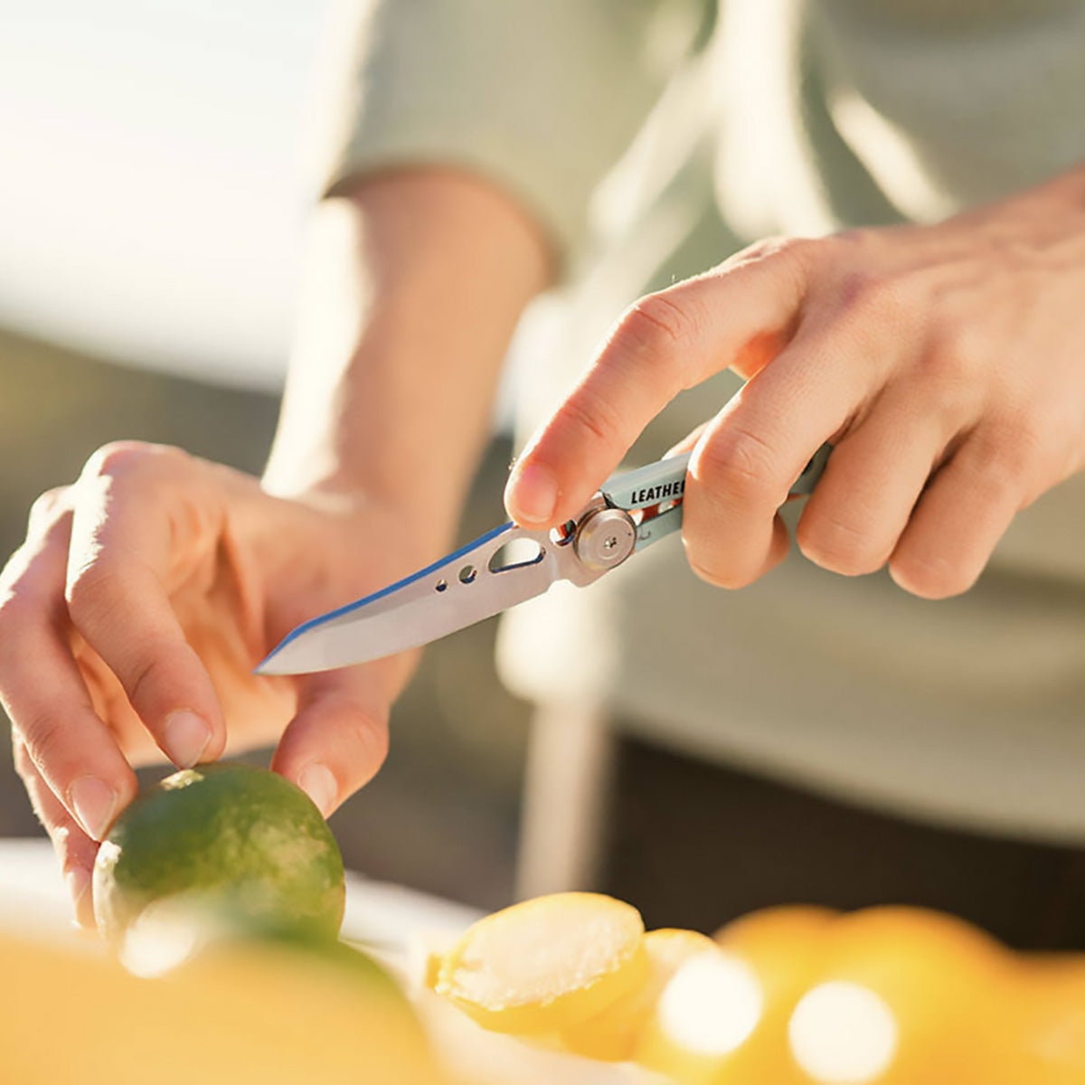 SKELETOOL KB<sup>®</sup>